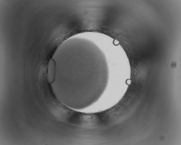 X0000101190415200807251007