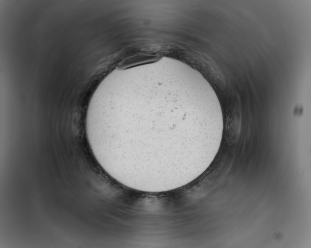 X0000101190416200807251007