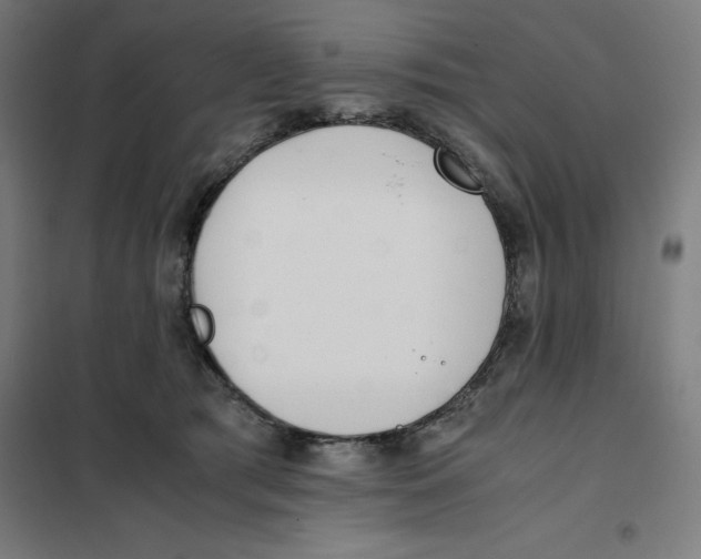 X0000101190417200807251007
