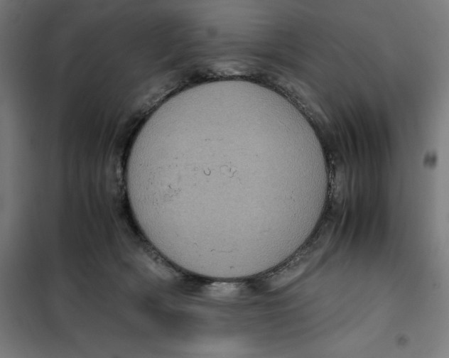 X0000101190418200807251007