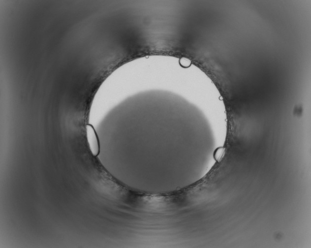 X0000101190419200807251007