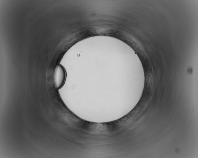 X0000101190421200807251007