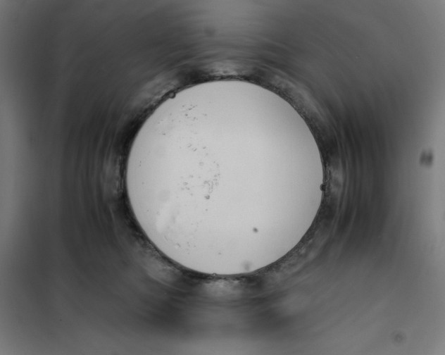 X0000101190422200807251007