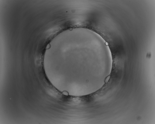 X0000101190423200807251007