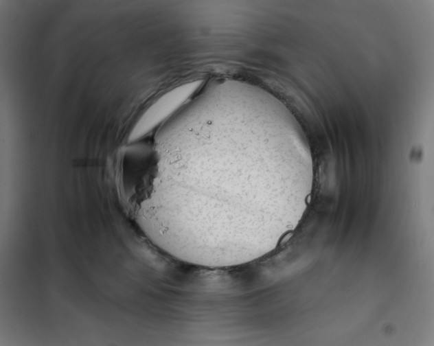 X0000101190424200807251007
