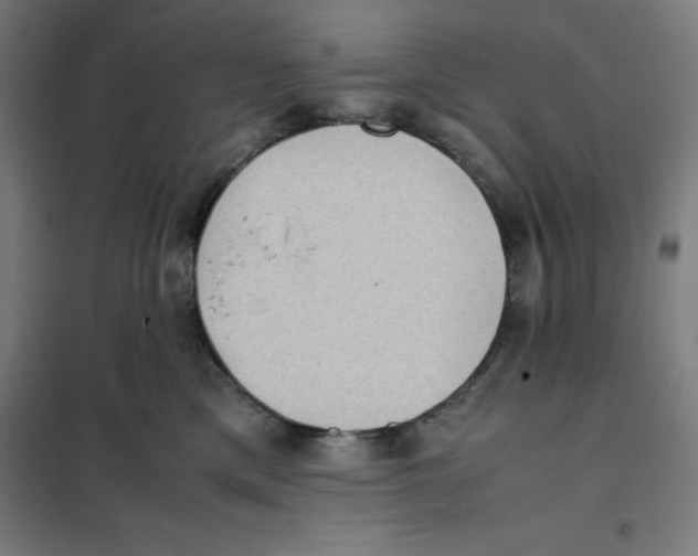 X0000101190425200807251007