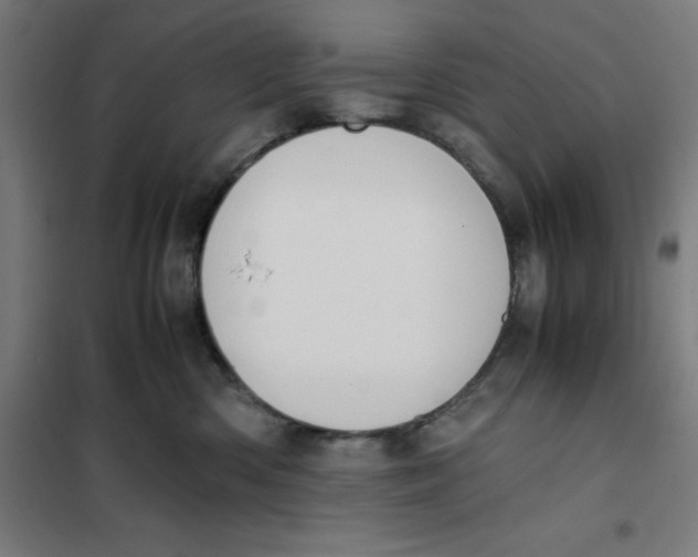 X0000101190426200807251007