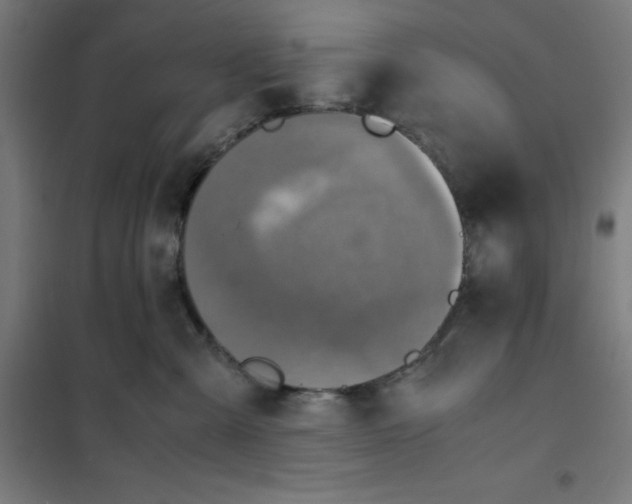 X0000101190427200807251007