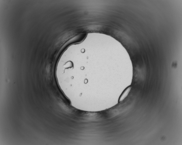 X0000101190428200807251007