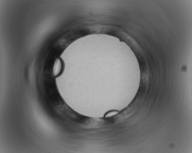 X0000101190429200807251007