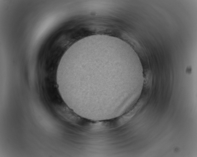 X0000101190430200807251007