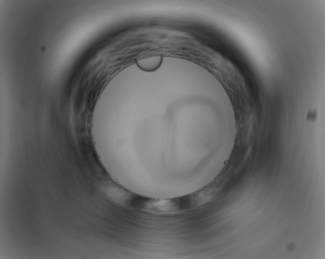 X0000101190431200807251007