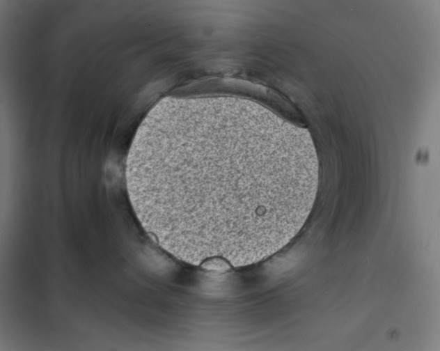 X0000101190432200807251007