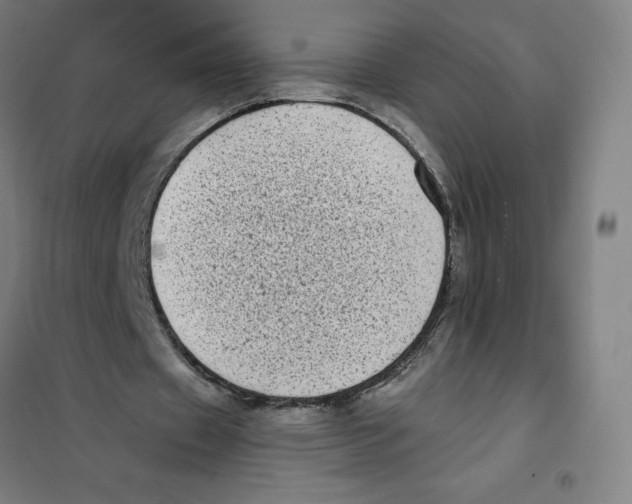 X0000101190433200807251006