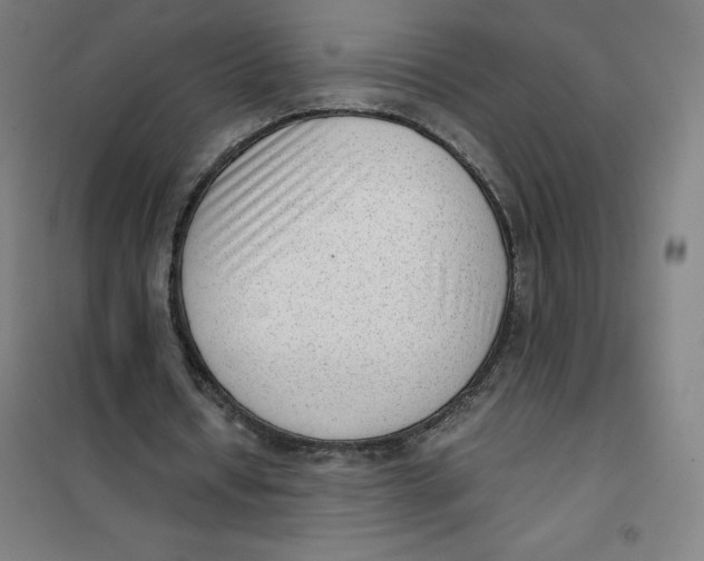 X0000101190434200807251006