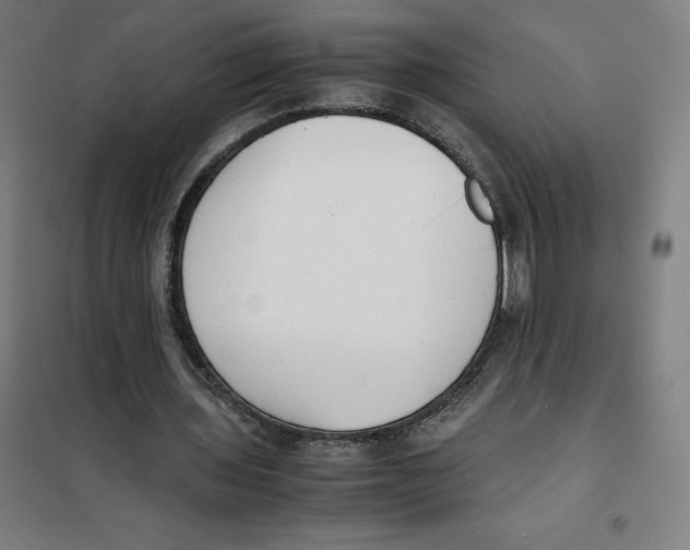 X0000101190435200807251006
