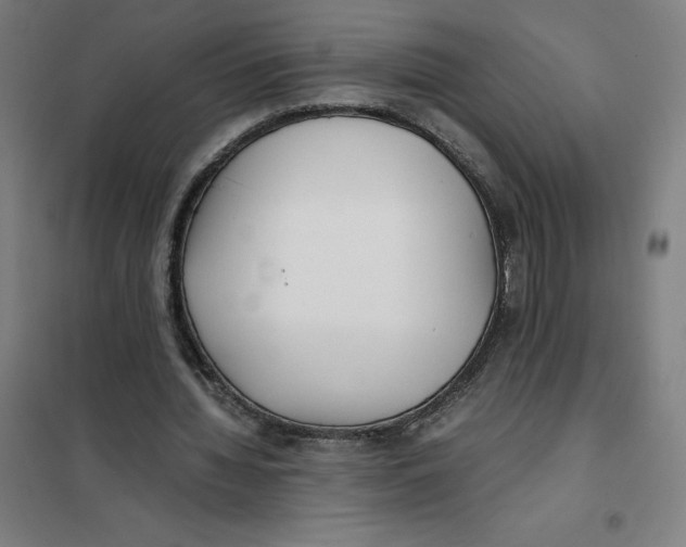 X0000101190436200807251006