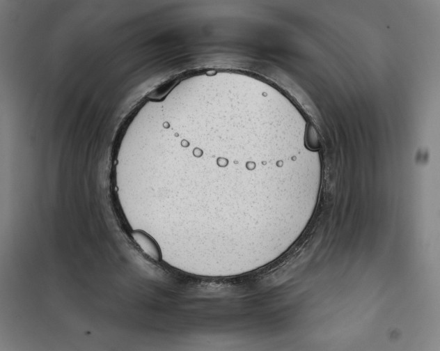 X0000101190437200807251006