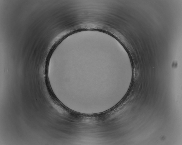 X0000101190438200807251006