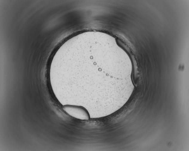 X0000101190439200807251006