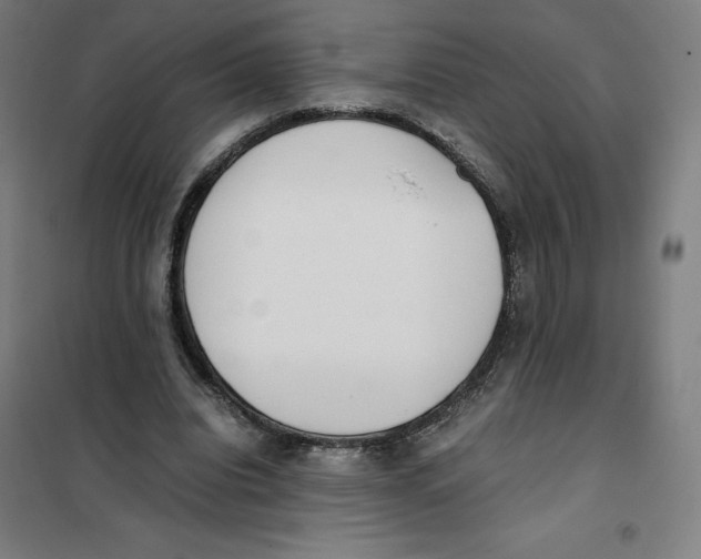 X0000101190440200807251006