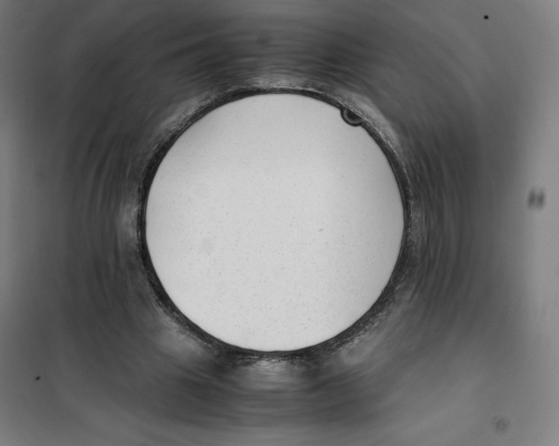 X0000101190441200807251006
