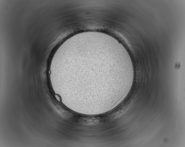 X0000101190443200807251006