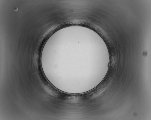 X0000101190444200807251006