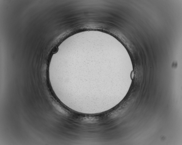 X0000101190445200807251006