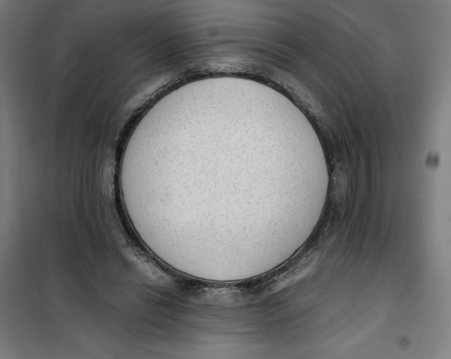 X0000101190446200807251006