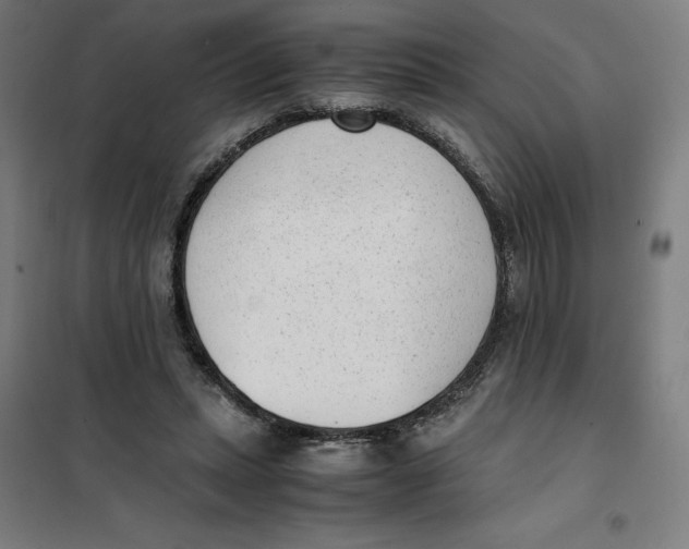 X0000101190447200807251006