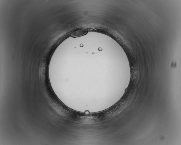X0000101190448200807251006