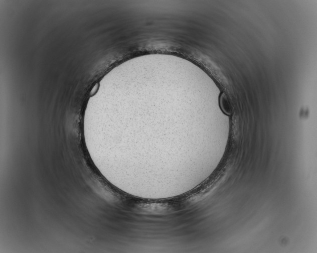 X0000101190449200807251006