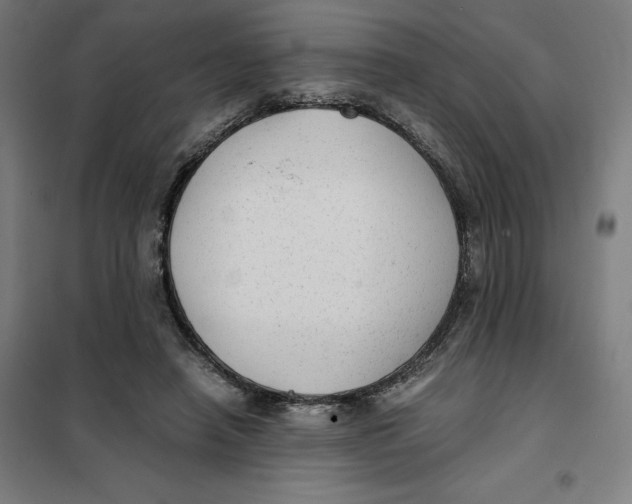 X0000101190450200807251006