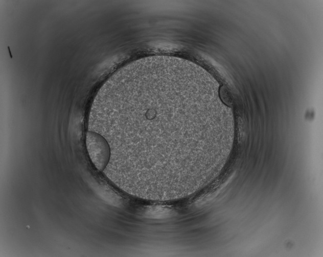X0000101190451200807251006