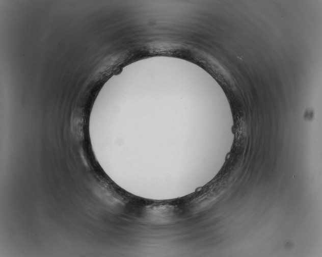 X0000101190452200807251006