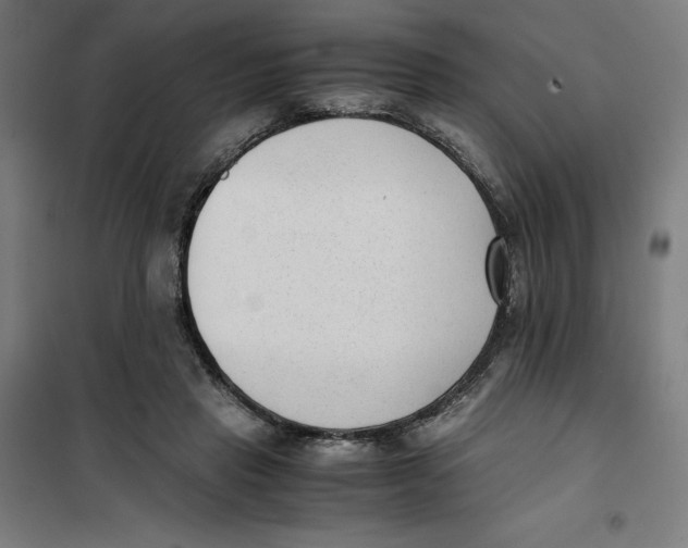 X0000101190453200807251006