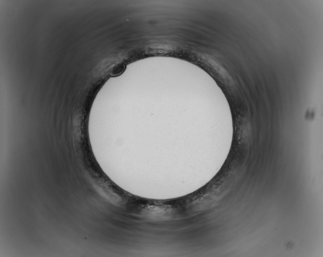X0000101190455200807251006