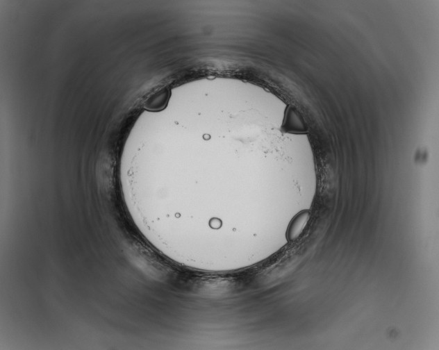 X0000101190456200807251006