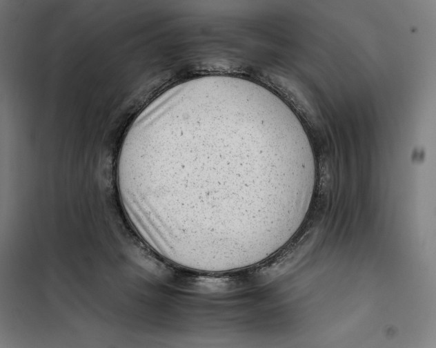 X0000101190457200807251006