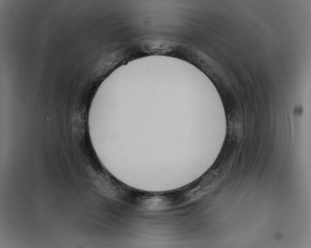 X0000101190460200807251006
