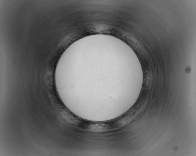 X0000101190461200807251006