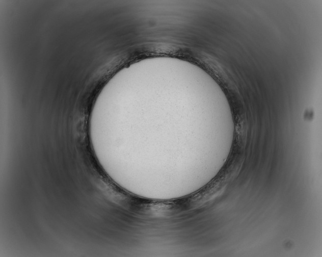 X0000101190462200807251006
