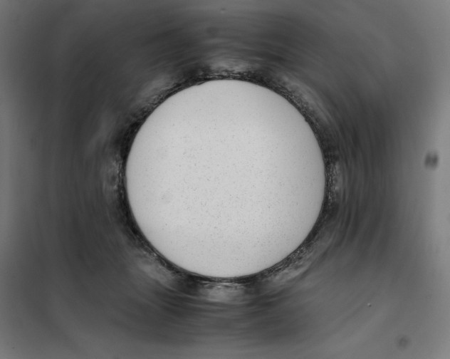 X0000101190463200807251007