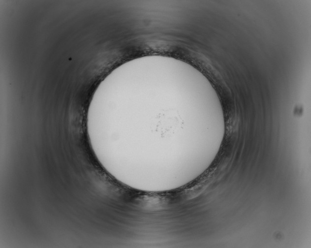X0000101190464200807251007