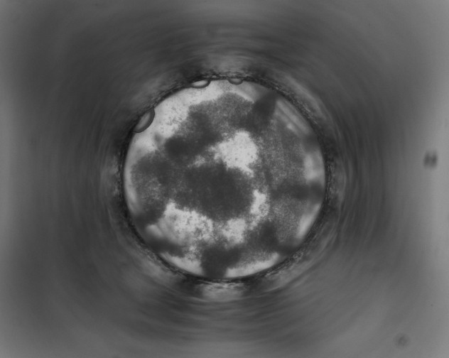 X0000101190465200807251007