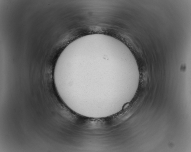 X0000101190466200807251007