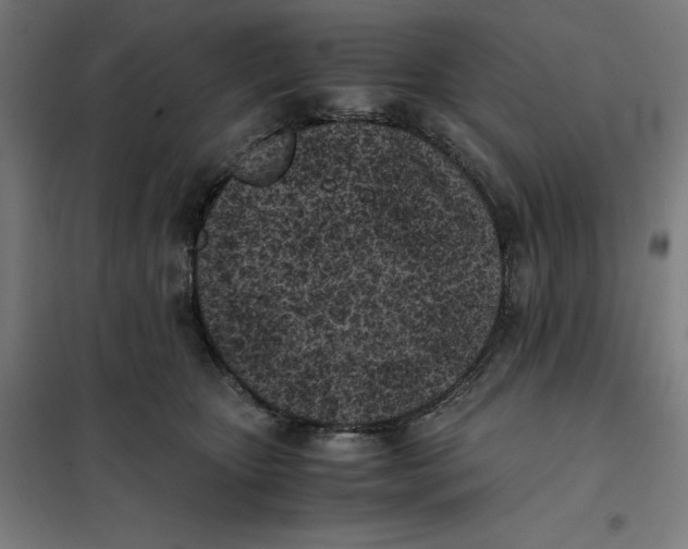 X0000101190467200807251007