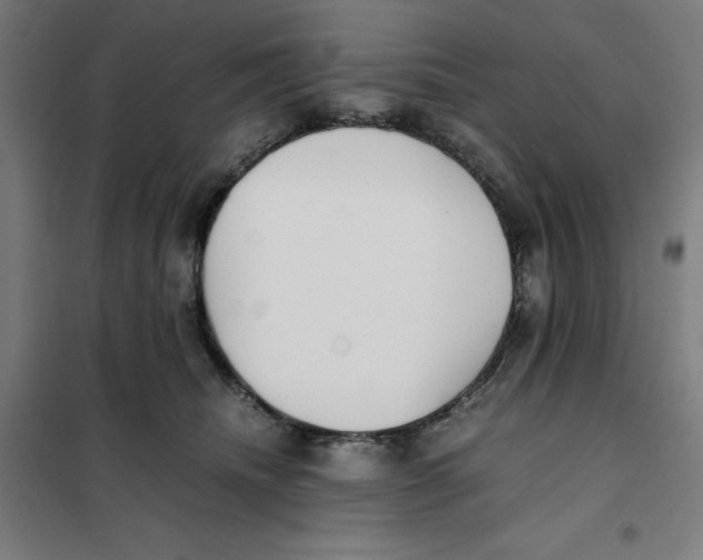 X0000101190468200807251007