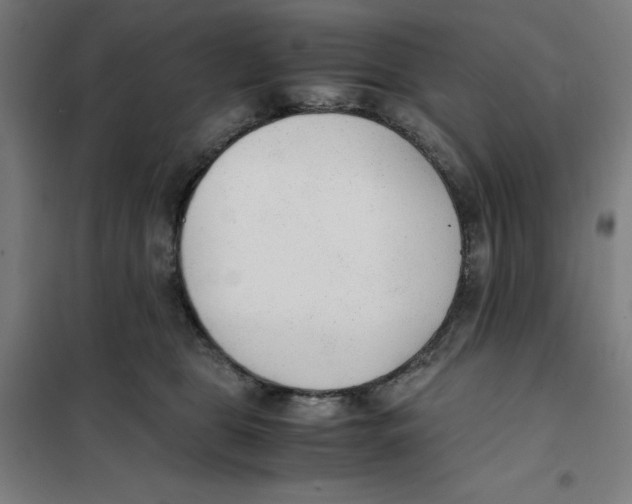 X0000101190469200807251007